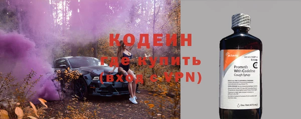 дурь Ладушкин