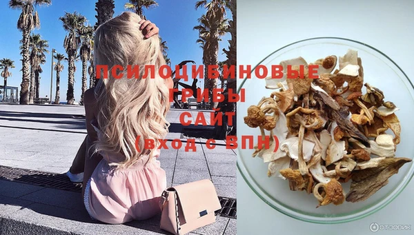 дурь Ладушкин