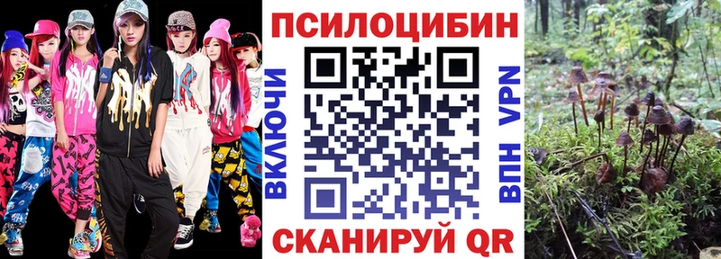 hydra ONION  Стародуб  Псилоцибиновые грибы мицелий 